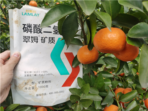 水溶肥，拉姆拉，翠姆