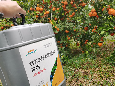 水溶肥，拉姆拉，翠姆