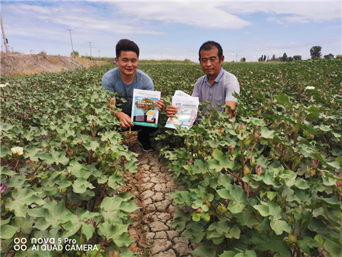 水溶肥，拉姆拉，翠姆