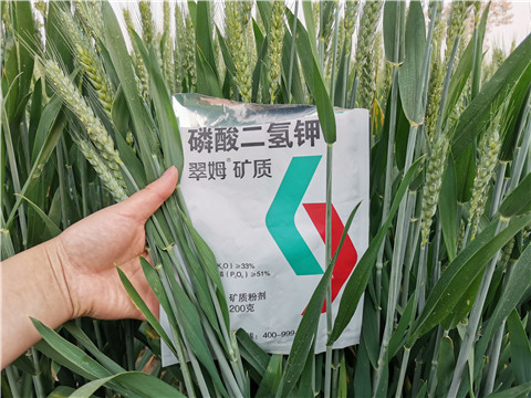 葉面肥，水溶肥，磷酸二氫鉀