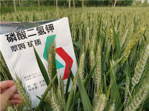 葉面肥，水溶肥，磷酸二氫鉀