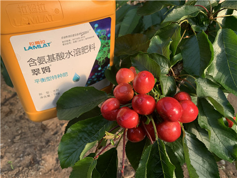 氨基酸水溶肥，拉姆拉，翠姆