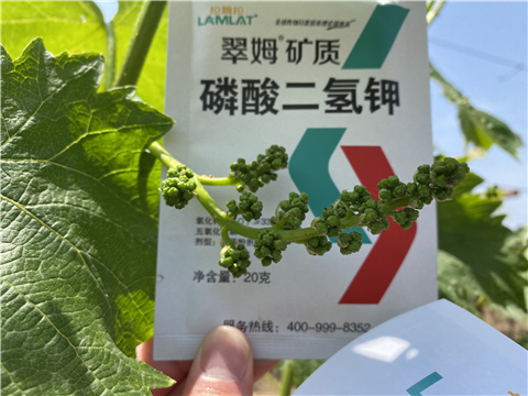 磷酸二氫鉀，拉姆拉，翠姆