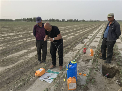 水溶肥，拉姆拉，翠姆