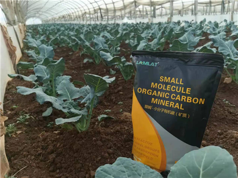 小分子有機(jī)碳，拉姆拉，翠姆