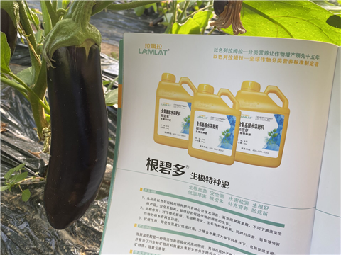 水溶肥，拉姆拉，翠姆