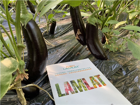 水溶肥，拉姆拉，翠姆