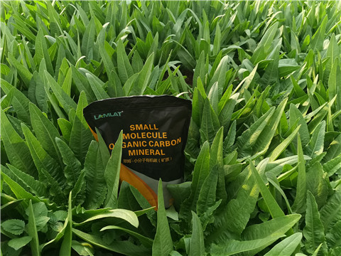 礦源黃腐酸鉀，拉姆拉，翠姆