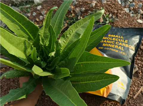 礦源黃腐酸鉀，拉姆拉，翠姆