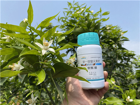 硼肥，拉姆拉，翠姆