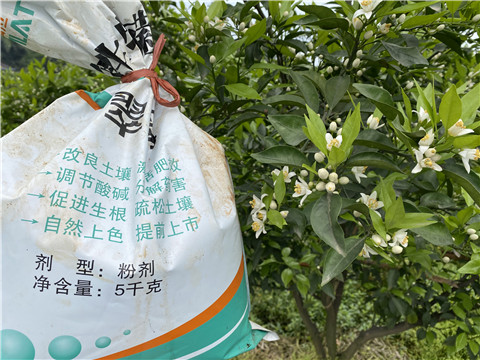 水溶肥，翠姆，拉姆拉