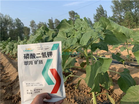 水溶肥，翠姆，拉姆拉