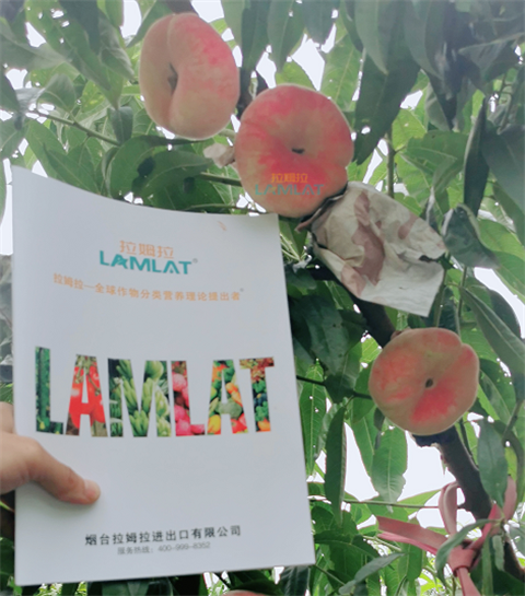 水溶肥，翠姆，拉姆拉