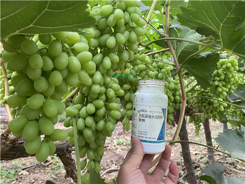 水溶肥，翠姆，拉姆拉