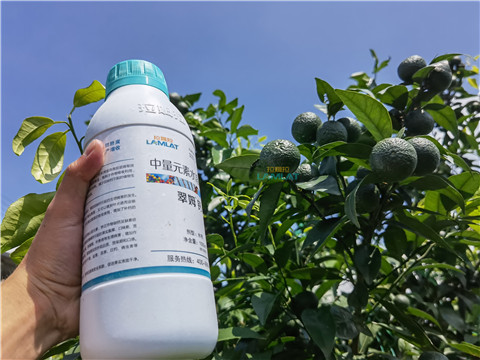 水溶肥，翠姆，拉姆拉