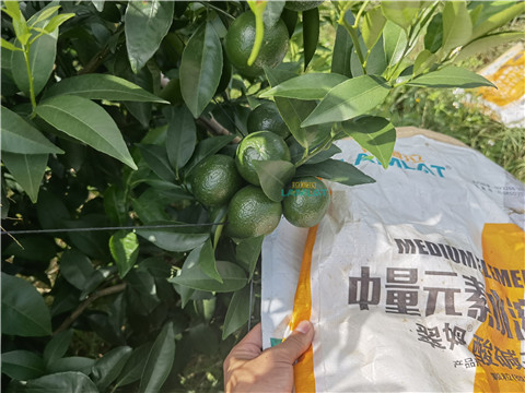 水溶肥，翠姆，拉姆拉