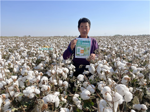 水溶肥，翠姆，拉姆拉