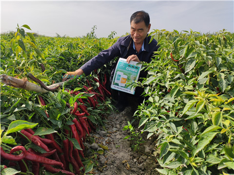 水溶肥，翠姆，拉姆拉