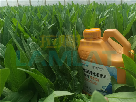 水溶肥，翠姆，拉姆拉