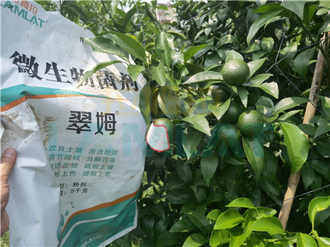 微生物菌劑，翠姆，拉姆拉