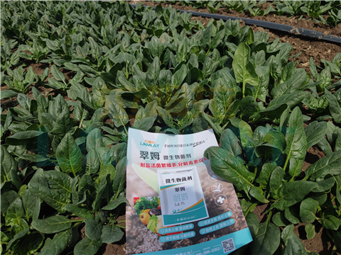 水溶肥，翠姆，拉姆拉