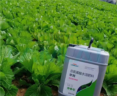 水溶肥，翠姆，拉姆拉