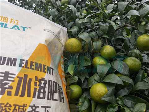 水溶肥，拉姆拉，翠姆