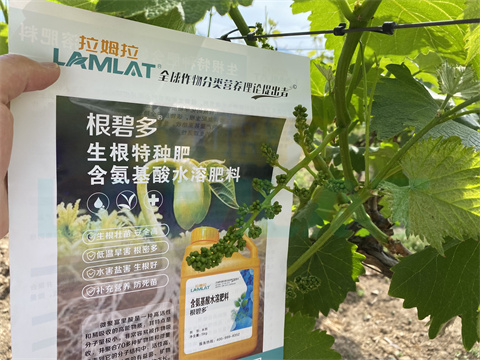 水溶肥，拉姆拉，翠姆