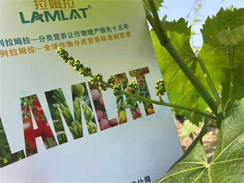 水溶肥，拉姆拉，翠姆