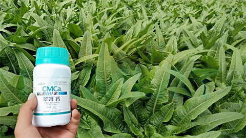 水溶肥，拉姆拉，翠姆