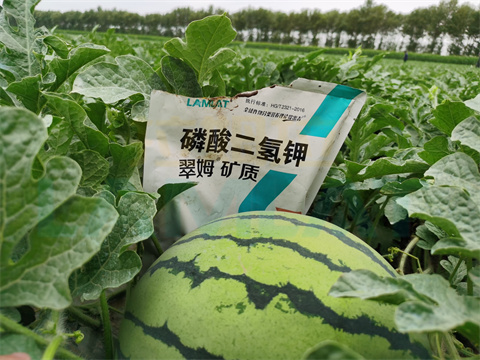 水溶肥，拉姆拉，翠姆