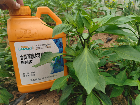 水溶肥，翠姆，拉姆拉