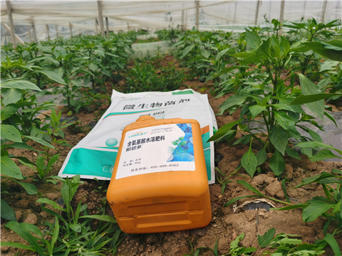 水溶肥廠家,翠姆,辣椒水溶肥 水溶肥廠家,翠姆,辣椒水溶肥