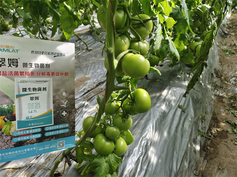 生根劑品牌,翠姆,番茄水溶肥 生根劑品牌,翠姆,番茄水溶肥