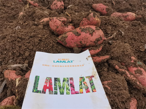 有機水溶肥料,翠姆,拉姆拉 有機水溶肥料,翠姆,拉姆拉