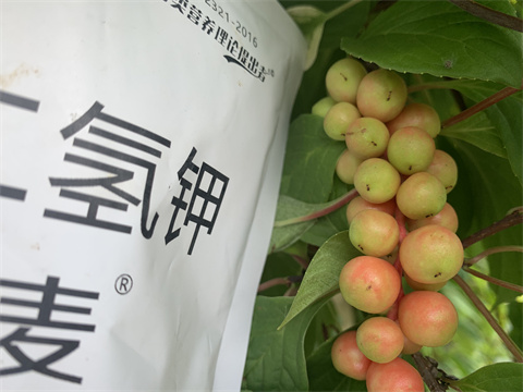 水溶肥價格,伯示麥,拉姆拉 水溶肥價格,伯示麥,拉姆拉