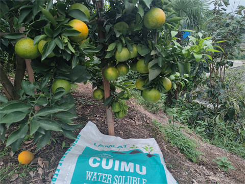 水溶肥,翠姆,柑橘水溶肥 水溶肥,翠姆,柑橘水溶肥