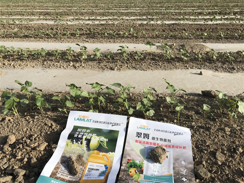 水溶肥,翠姆,拉姆拉 水溶肥,翠姆,拉姆拉