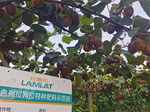 水溶肥,翠姆,拉姆拉 水溶肥,翠姆,拉姆拉