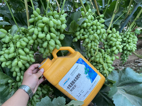 水溶肥,翠姆,拉姆拉 水溶肥,翠姆,拉姆拉