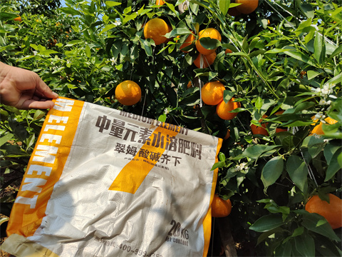 水溶肥,翠姆,柑橘水溶肥 水溶肥,翠姆,柑橘水溶肥