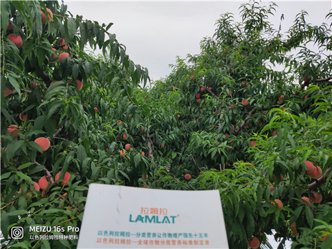 水溶肥,翠姆,桃子水溶肥 水溶肥,翠姆,桃子水溶肥