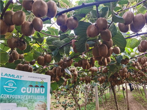 水溶肥,翠姆,拉姆拉 水溶肥,翠姆,拉姆拉