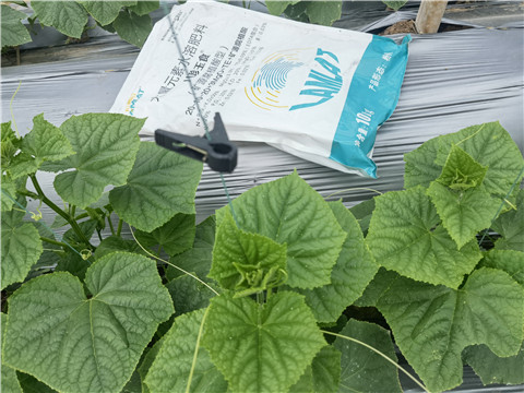 水溶肥,翠姆,拉姆拉 水溶肥,翠姆,拉姆拉