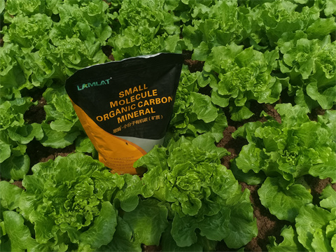 水溶肥,翠姆,拉姆拉