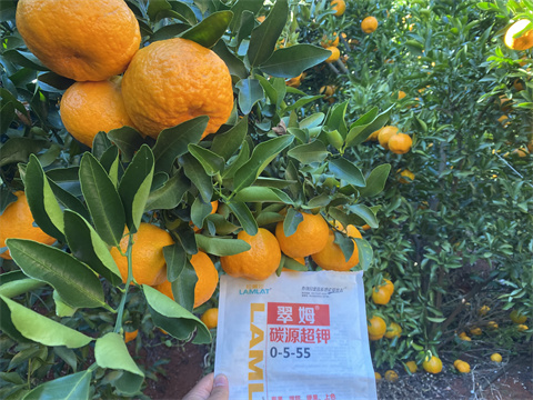 水溶肥,翠姆,柑橘種植 水溶肥,翠姆,柑橘種植