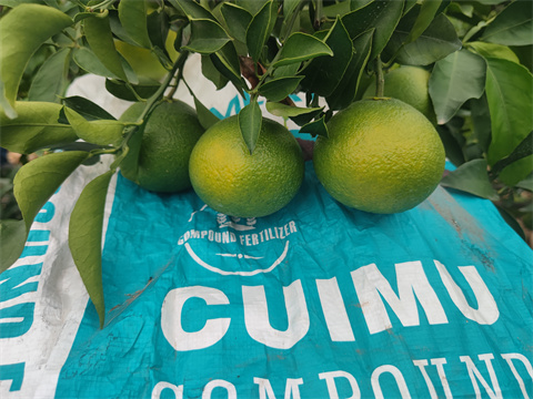 水溶肥,翠姆,拉姆拉 水溶肥,翠姆,拉姆拉