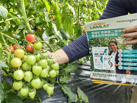 水溶肥,翠姆,拉姆拉 水溶肥,翠姆,拉姆拉