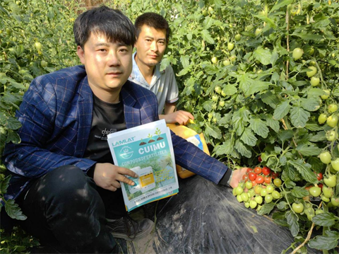 水溶肥,翠姆,拉姆拉 水溶肥,翠姆,拉姆拉