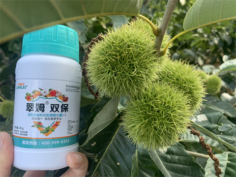 水溶肥品牌,板栗?；ū９?翠姆雙保